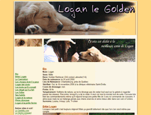 Tablet Screenshot of loganlegolden.jokzoo.com