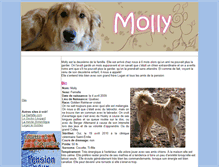Tablet Screenshot of molly.jokzoo.com